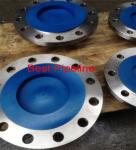 300LBS Pressure Forged Steel Flanges 304L ANSI - Flansche DIN 28031 - 26036
