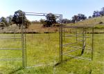 horse cattle panels