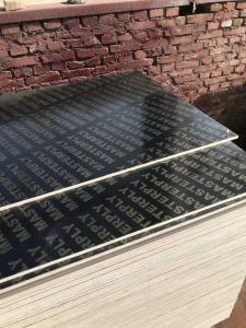Wholesale Customized Thickness Construction Grade Plywood Low Formaldehyde Emission from china suppliers