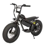 36V350W Electric Off-Road Dirt Bike for Kids Customizable Lithium Battery and