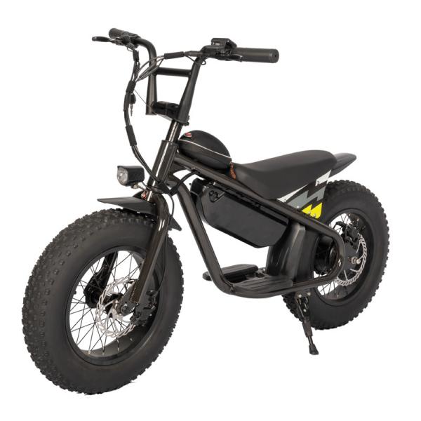 16 inch Fat Tire Electric Kids Bike Off-road Customized Dirt Bike with 31-60 km
