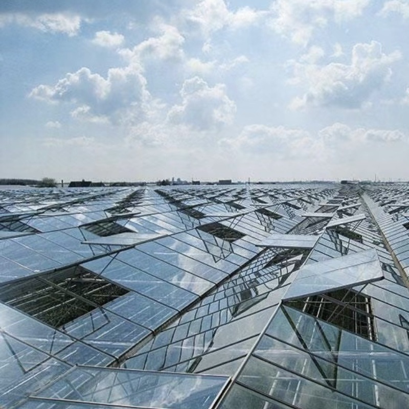 Shading Screen Glass Greenhouse for Flower Cultivation