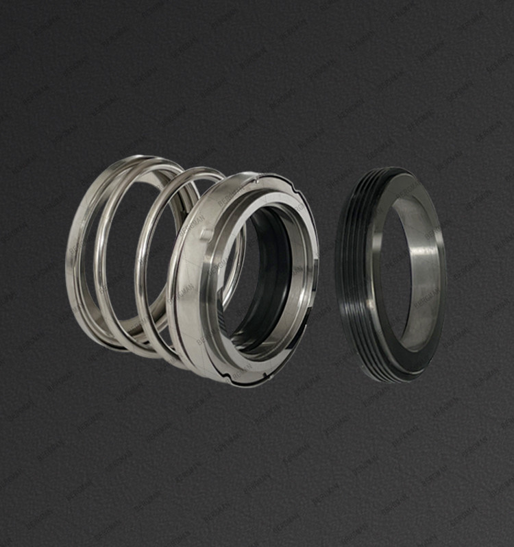 BERGMAN BIA-10 12 14 15 16 18 19 20 22 25 28 30 32 35-90mm Pump Mechanical Seal