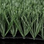 Indoor Gym Natural Green Artificial Grass Football Ground Healthy Synthetic