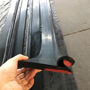 Wholesale Pu Rubber Dual Seal Skirt Board Double Lips Conveyor Belt Sealing from china suppliers