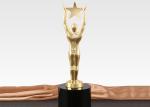 260mm Height Custom Metal Trophies , Sports Competition Custom Trophy Awards
