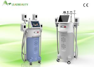 Wholesale Hot Sale Five Handles Cryolipolysis Slimming Equipment Exporting Europe For Women from china suppliers