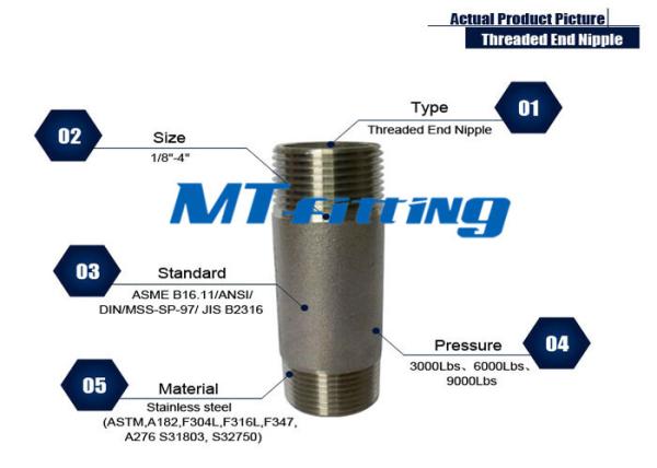 ASTM A106 F317L Forged High Pressure Stainless Steel Pipe Fittings / Threaded