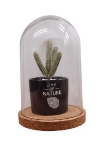 Wholesale ODM Dampproof Mini Glass Bottle Corks Glass Base Dome 2.5*2.2IN Groove Line from china suppliers
