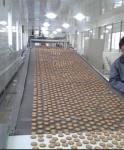 Fuel Oil 28.5kw 50kg/H Vegetable Biscuit Production Line