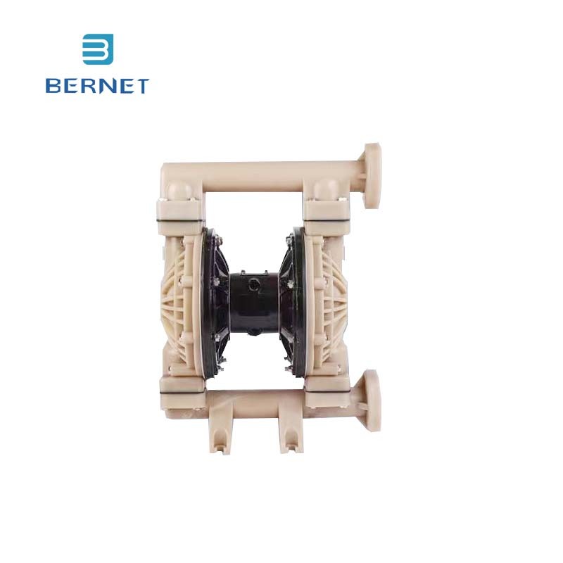 Adjustable Flow Rate Diaphragm Pump for Precision Control
