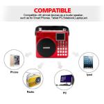 Newgood 20W Bluetooth Outdoor Music Player with Voice recording and Handle
