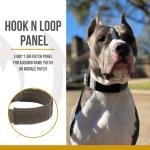 3 Colors Soft Nylon Dog Collar Military Adjustable With Metal D Ring / Buckle