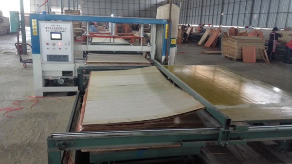 Formwork Concret Poplar 1250*2500mm Film Faced Plywood
