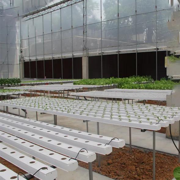 Horticulture Circular Tube Soilless Culture Hydroponic NFT Channel Grow Systems