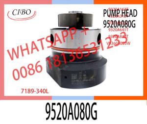 Wholesale High Quality Diesel Fuel Injection Pump DPA Head Rotor 7189-340L For 9520A080G from china suppliers