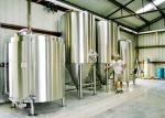 Stainless Steel SS304 Conical Beer Fermenter / Commercial Beer Equipment For