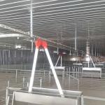 Automatic Raising Housing And Equipment For Swine Production CE SGS