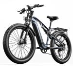 48V 500W Bafang Peak Electric Fat Tire Bike 1000W Full Suspension Mountain Ebike