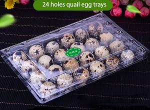 Wholesale Transparent Recyclable Disposable Plastic Quail Egg Tray 4x6 Range from china suppliers
