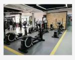 Manual Home Gym Fitness Equipment Indoor Cardio Training Bike Cross Trainer