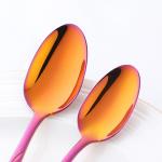 Dishwasher Safe 5 Piece Kitchen Flatware Sets FDA Rainbow Stainless Steel