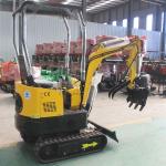EURO 5 1T Mini Excavator Crawler Bagger CE Mini Excavator Tailless Slewing