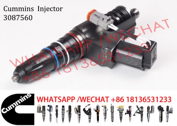 Quality Diesel Engine Fuel Injector 3087560 3083846 3087733 For Cummins N14 Engine for sale