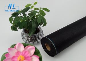 Wholesale Transparent Fiberglass Window Screen , Fly Inscect Screen / Mosquito Screen from china suppliers