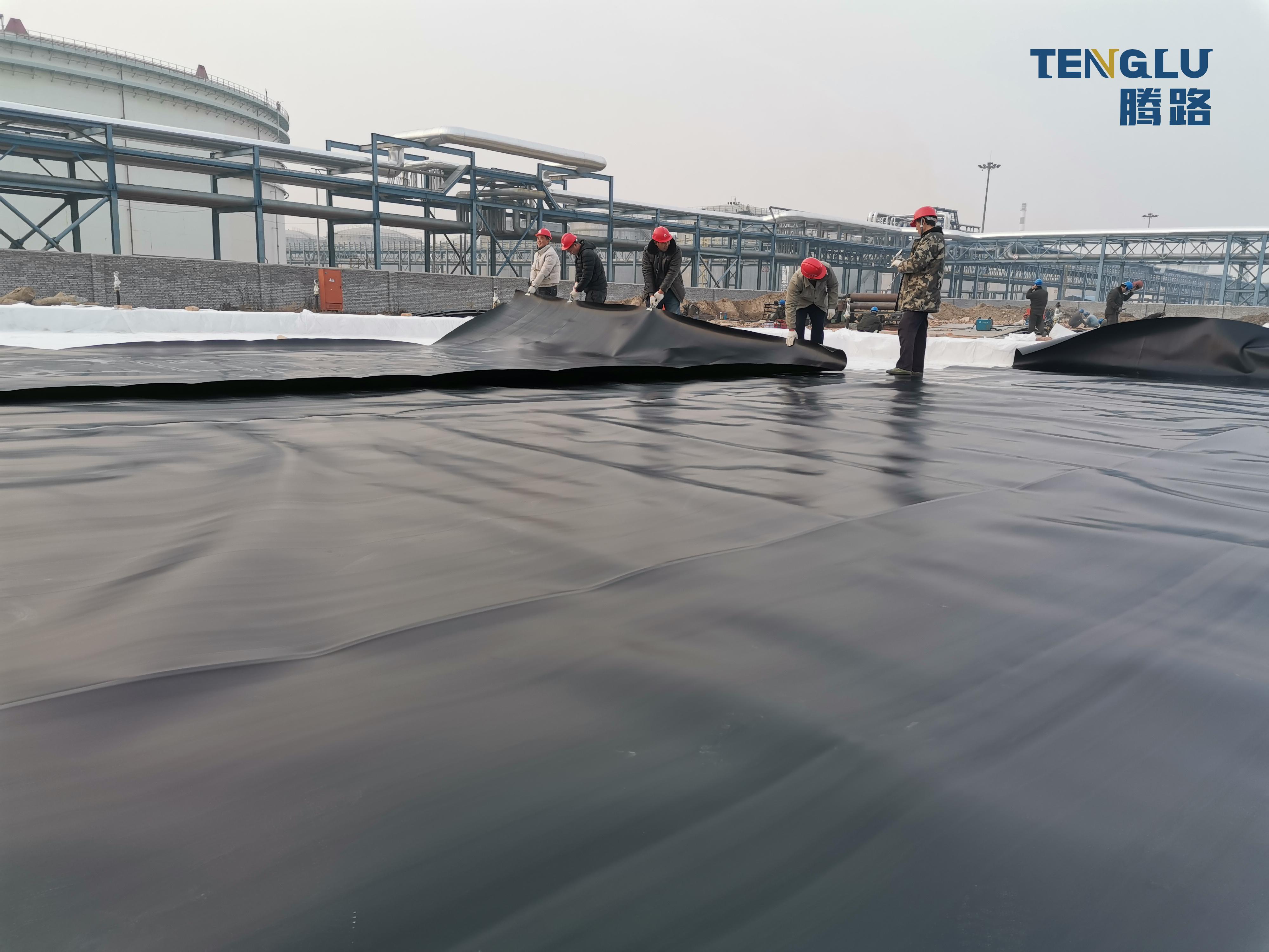 Industrial Design 0.2-3mm Blue Geomembrane Swimming Pool Liner for Onsite Inspection