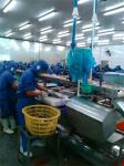High Quality Fish Skin Removal Machine Fish Skinning Machine Squid Tilapia Fish