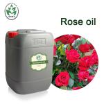 Cas 8007 01 0 Manufacture Wholesale Price Rose Essential Oil For Cosmetics Rose