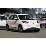 Wuling Motors 2024 Energy Vehicle Prices for Left Steering Lithium Ion Battery