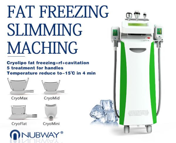Multi-Functional beauty equipment kryolipolyse cool tech slimming machine
