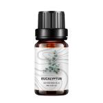 5ml Home Fragrance Essential Oils Plant Eucalyptus COA OEM For Medicine