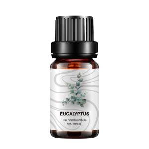 Wholesale 5ml Home Fragrance Essential Oils Plant Eucalyptus COA OEM For Medicine from china suppliers