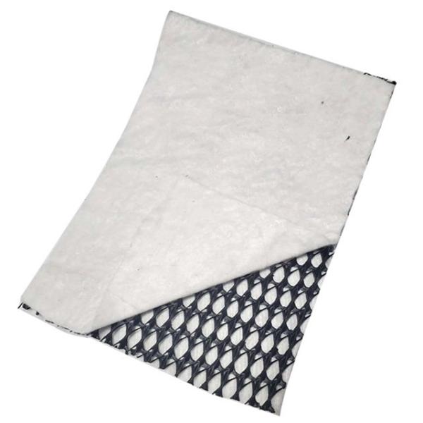 Chinese Design Style Geocomposite Drainage Sheet with CE/ISO9001/ISO14001