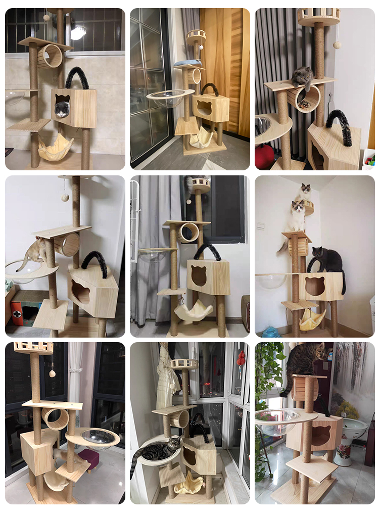 Custom Sisal Large Cat Scratch House Eco Cat House With Scratcher