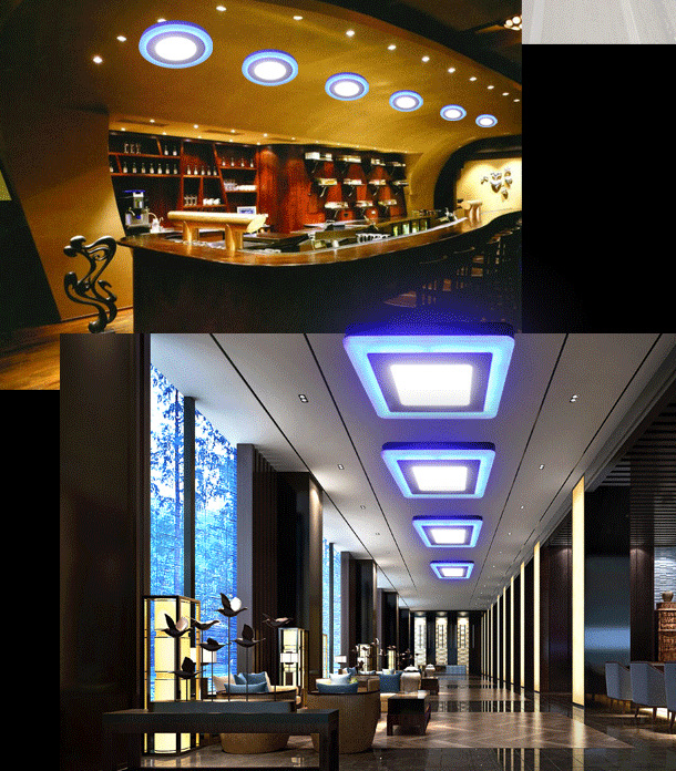 Round Square Double Color Led Ceiling Panel Lamp Surface Mounted SMD Recessed12+6W LED Panel Light