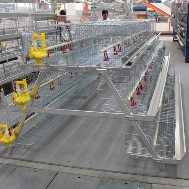 4 Tiers A Type Cage System For Broiler Battery Chicken Q235A