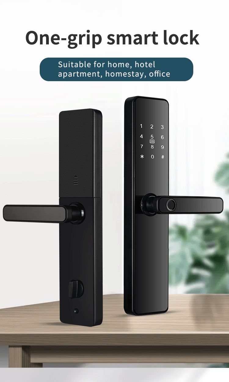 Intelligent Access Control Door Lock S819 with Tuya TTlock and Remote Control