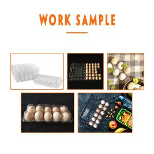 Wholesale Pet Plastic Egg Tray Manufacturing Machine Vacuum Forming Packaging from china suppliers