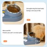 Pet Bowls Feeders 4 in 1 Combination Stainless Steel/Ceramic Dog Cat within LCD