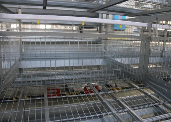 Energy Saving Layer Poultry Farming Equipment Anti - Corrosion Q235 Steel Wire