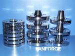 DIN 2656 ASME SA182 PN40 Forged Steel Flange High Precision Bright Surface