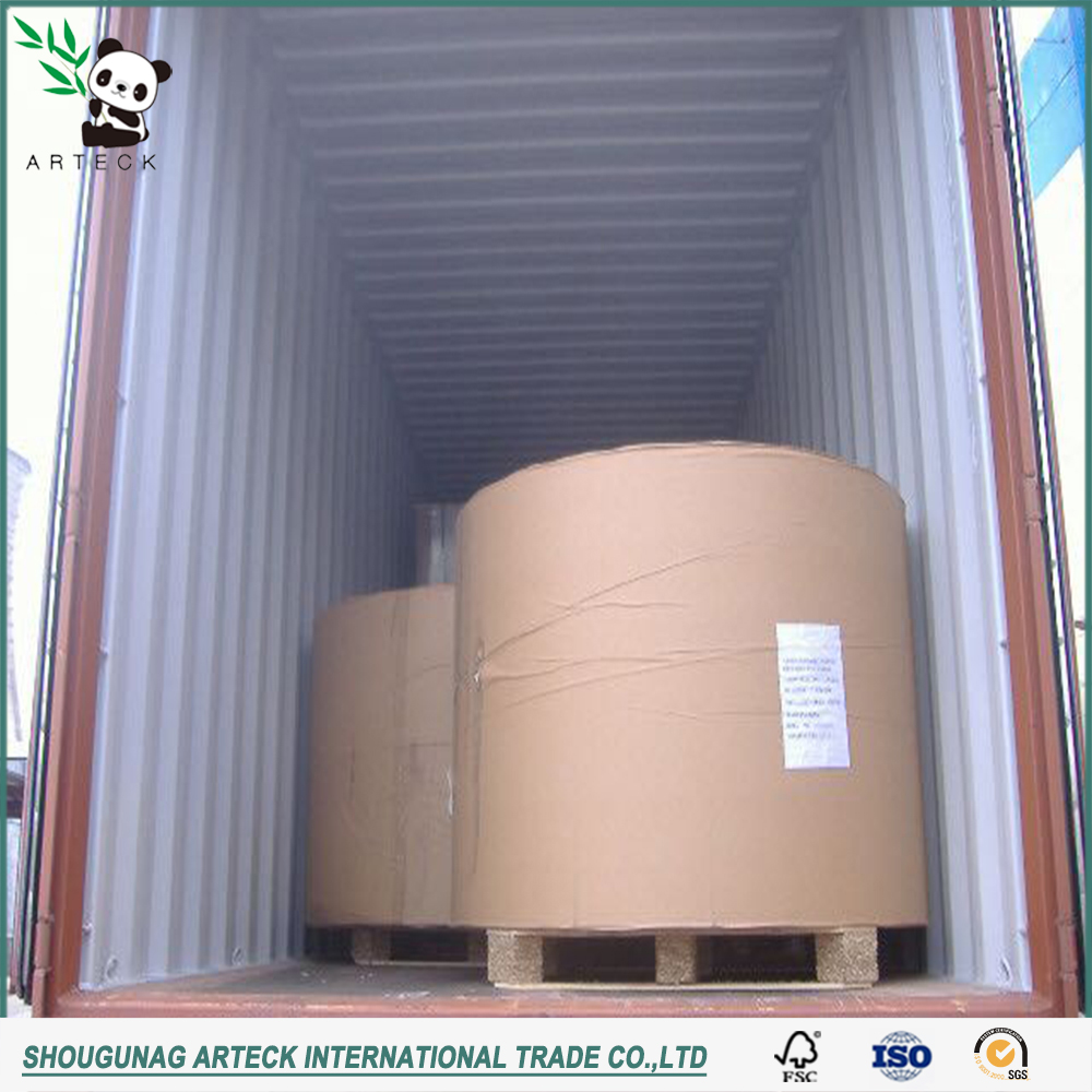 Double Side Coated Kaolinite 300g C1S Art Board for Ream Packaging in Ningbo Market
