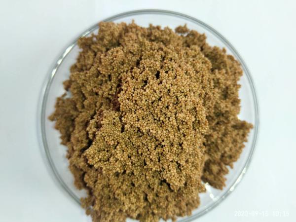 Ion Exchange Resin for the Treatment of VOCs and Purification of Organics in