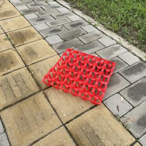 Wholesale Agriculture 30 Count Plastic Egg Containers Egg Storage from china suppliers