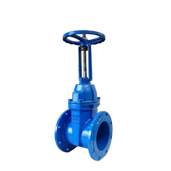 PN16 Soft Seal Rising Stem Gate Valve Z41X ANSI 150LB 304 316 Stainless Steel