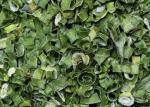 Granulated Dehydrated Minced Onion